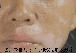 Ҫ˽Щʶ