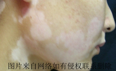 综ʲô˶ʺ˯