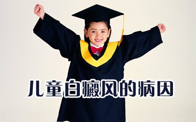 6b411b82920d03a51df095ff867d9cfe.jpg